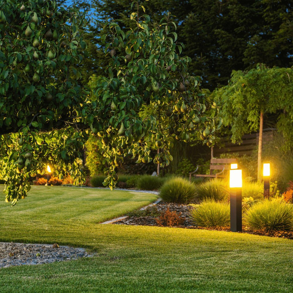 LED landscape lighting illuminating a commercial entrance sign at night.